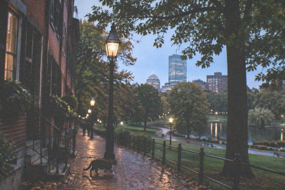 Twilight on a narrow Beacon Hill street lit by gas-style lamps