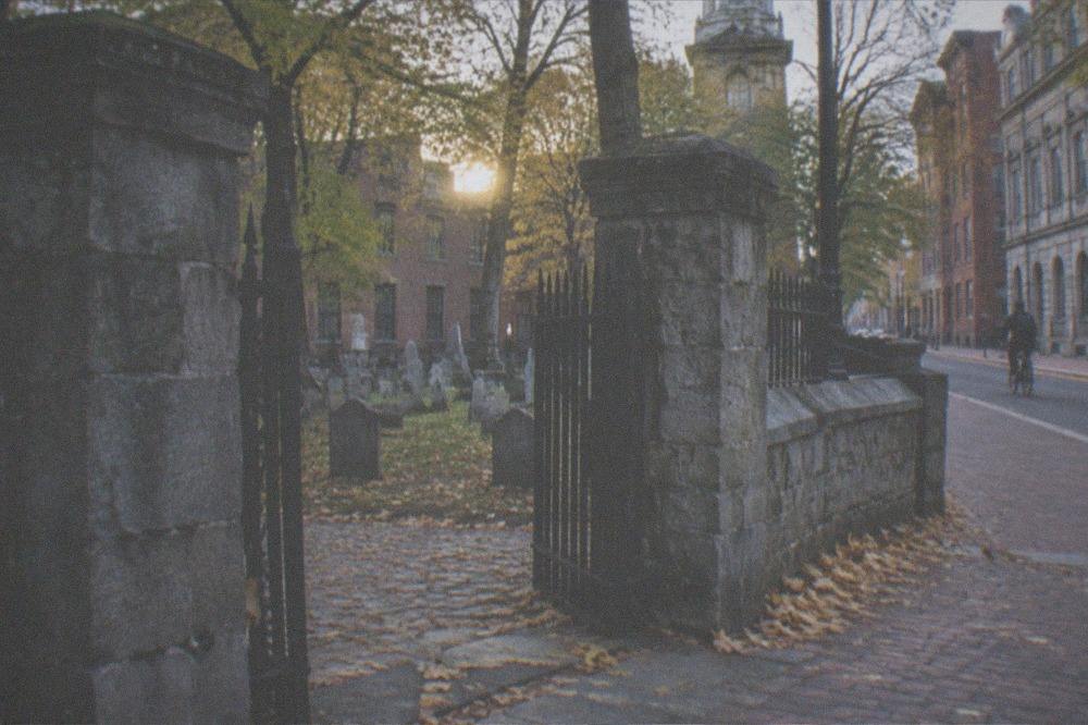 An old stone burial ground gate frame seen through trees in soft evening light