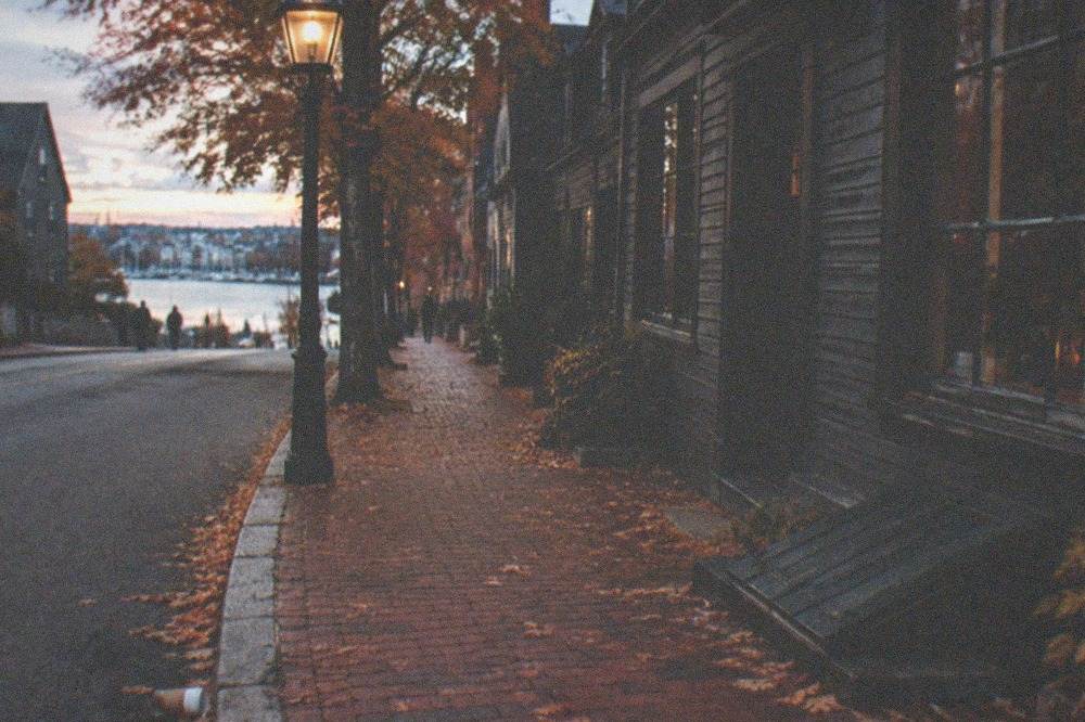 Autumn leaves scattered along a brick sidewalk beside old storefronts at dusk